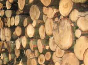 Log loads for sale